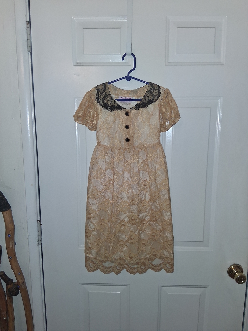 Maya Gold Lace Dress with Black Collar